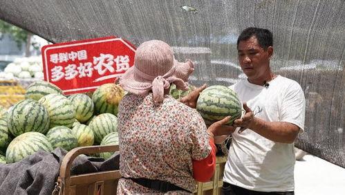 爬在门前吃瓜的照片,捕捉夏日悠闲时光