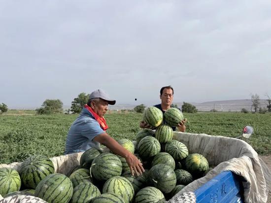 老城吃瓜,探寻民间故事与市井百态