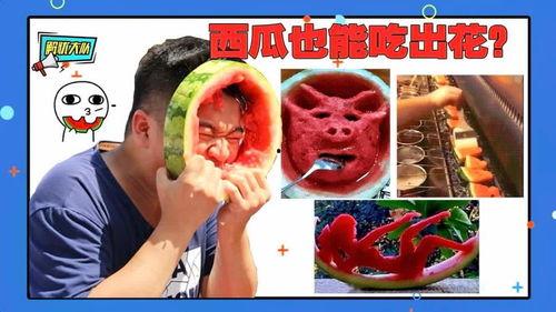 解忧大队奇葩吃瓜,奇闻异事，奇葩吃瓜大集合