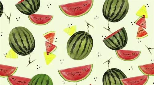 浮夸吃罚款瓜,揭秘网络热点的背后真相