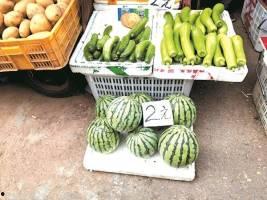 武汉最大的吃瓜,揭秘城市美食风云录