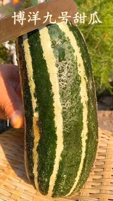 种什么瓜没人吃,揭秘种瓜没人吃的尴尬现状