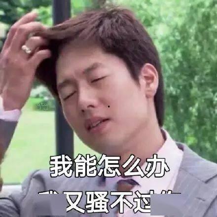 吃瓜渣表情包,趣味横生的网络文化现象