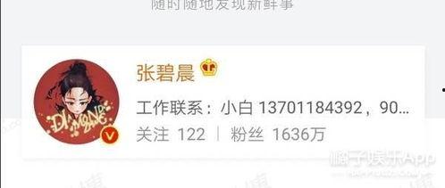 吃瓜退圈小说,一场小说中的情感救赎之旅