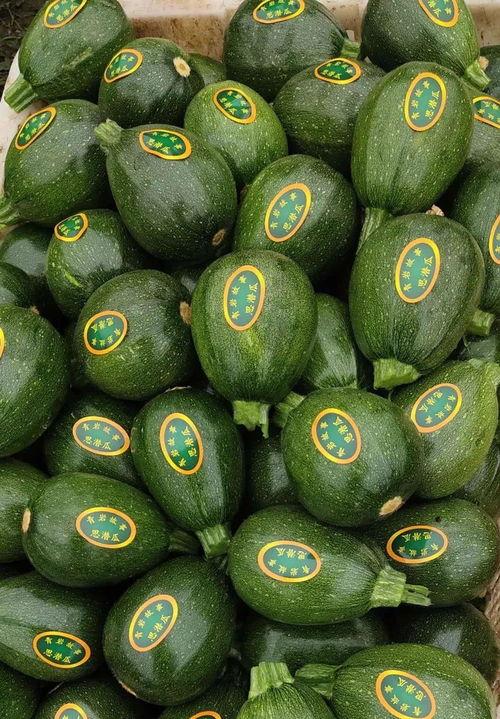 柘城吃瓜事件,一场引发热议的网络风波揭秘