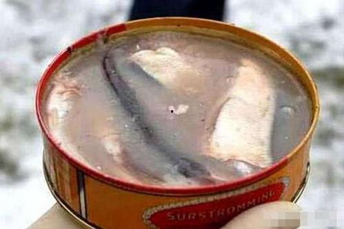 带你吃瓜鲱鱼罐头,鲱鱼罐头背后的独特风味与争议