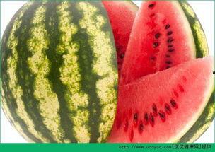 天天吃鸡瓜好吗,健康生活每一天