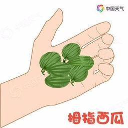 打电话带你吃瓜,共赴美食之旅