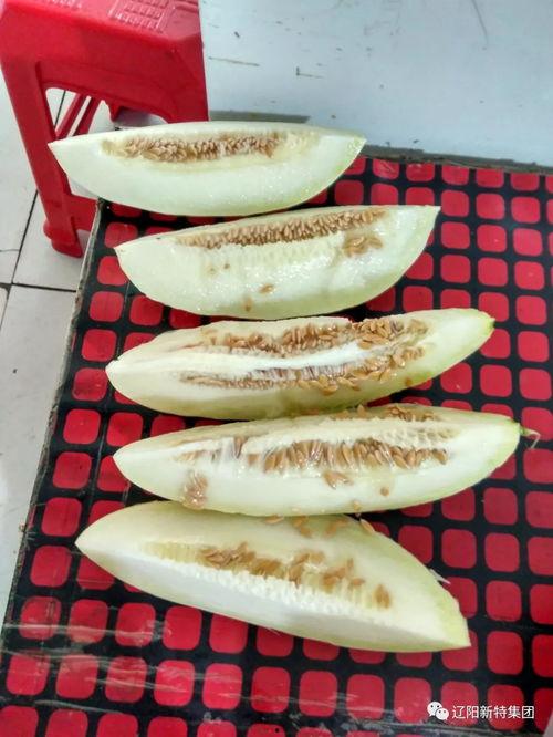 上朝带吃瓜系统,揭秘古代宫廷中的独特饮食文化