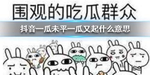 抖音瓜哥带你吃瓜搞笑