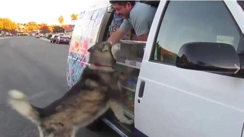 一车瓜翻了继续吃瓜,我们依然可以尽情“吃瓜”