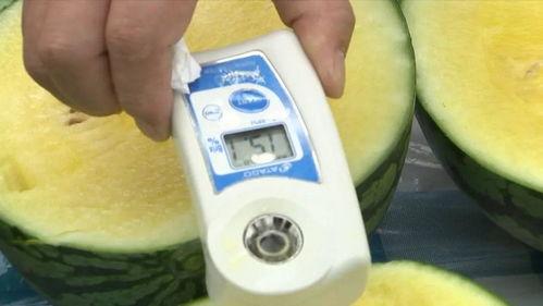 吃瓜群众和专家的区别,揭秘网络舆论场的两极分化