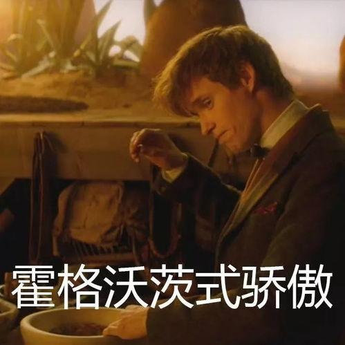 麻瓜怎么加热吃,探索加热食用的魔法美味