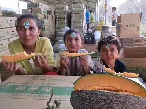 柳州主播吃瓜,揭秘网络红人的幕后故事