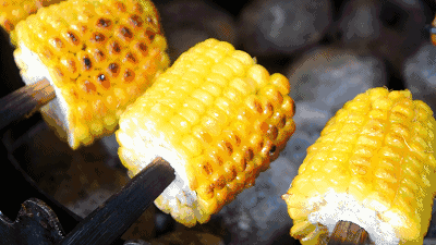 吃瓜的苞米模组,吃瓜群众的趣味盛宴