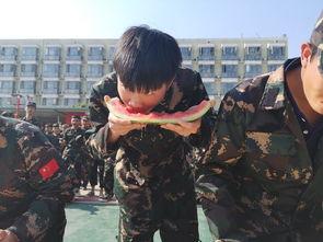 吃瓜王子呼图壁,揭秘神秘瓜王背后的传奇故事