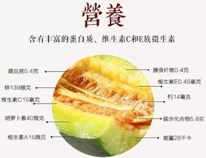 吃瓜群众白糖,吃瓜群众的甜蜜诱惑