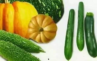 仙界吃瓜8,吃瓜群众眼中的八仙传奇