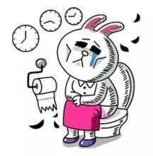 吃太多瓜拉肚子