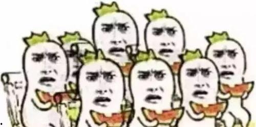 吃瓜群众芒市,吃瓜群众眼中的魅力之城