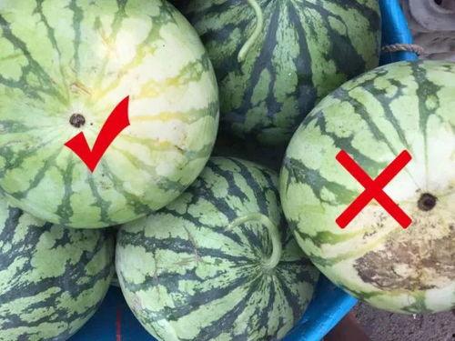 吃瓜会黑吗,吃瓜群众为何会“黑化”？