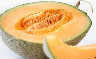 吃哈密瓜舌头起疹