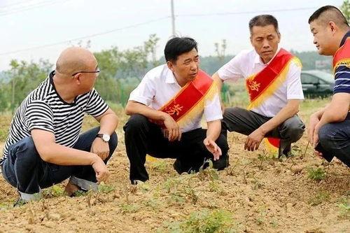 瓜哥吃瓜弥渡山歌,弥渡山歌传唱民间风情